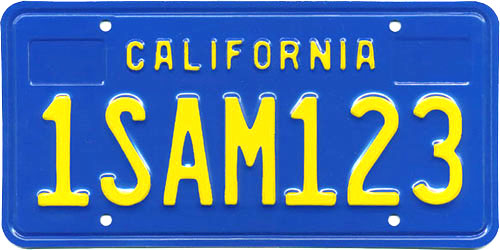 7 character blue plate